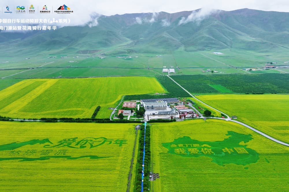 赛道堪称, amp