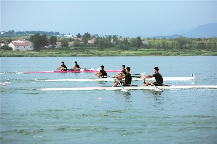 amp, 市规模最大, img