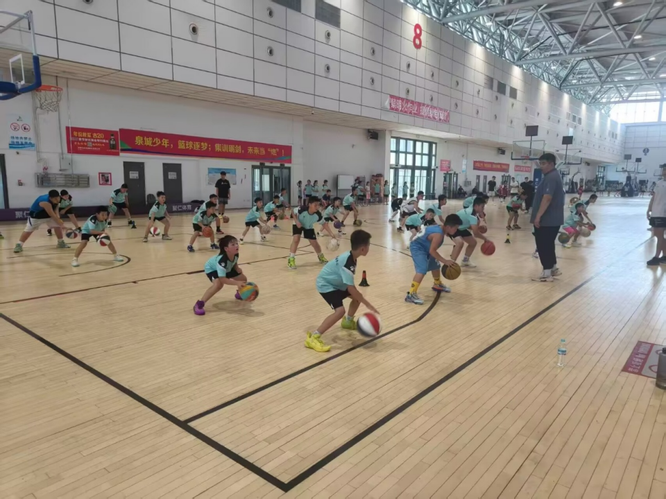 src, 系统化新阶, entit src, 系统化新阶, entit