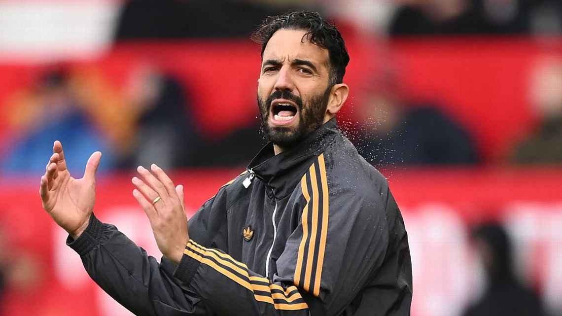 已经确定他 已经确定他